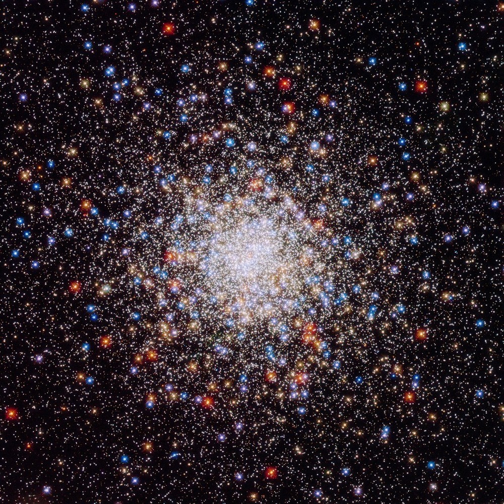 Meet your Posher, Posh